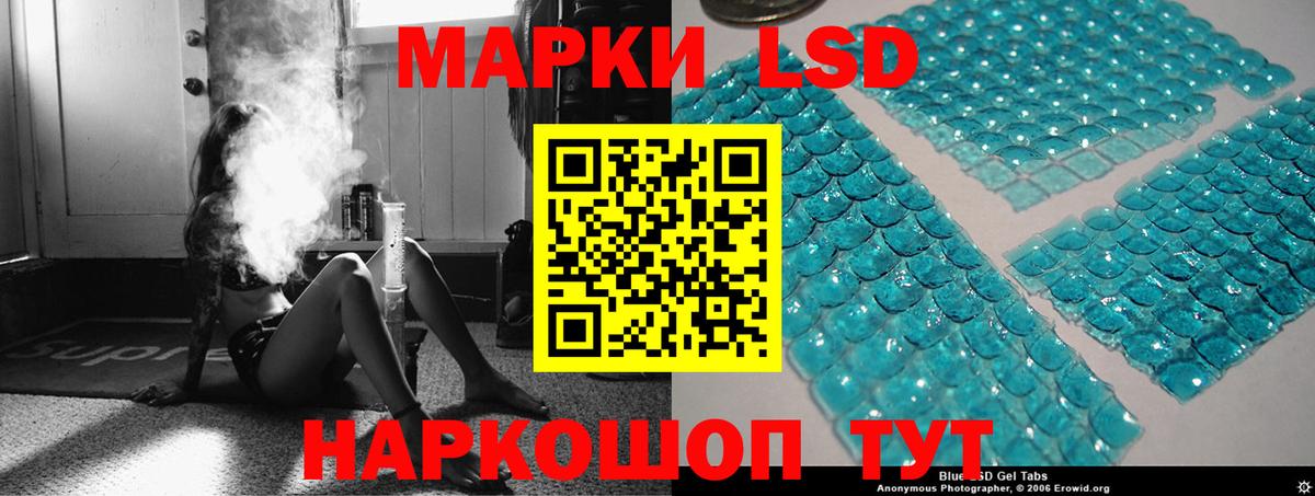 Галлюциногенные грибы Знаменск