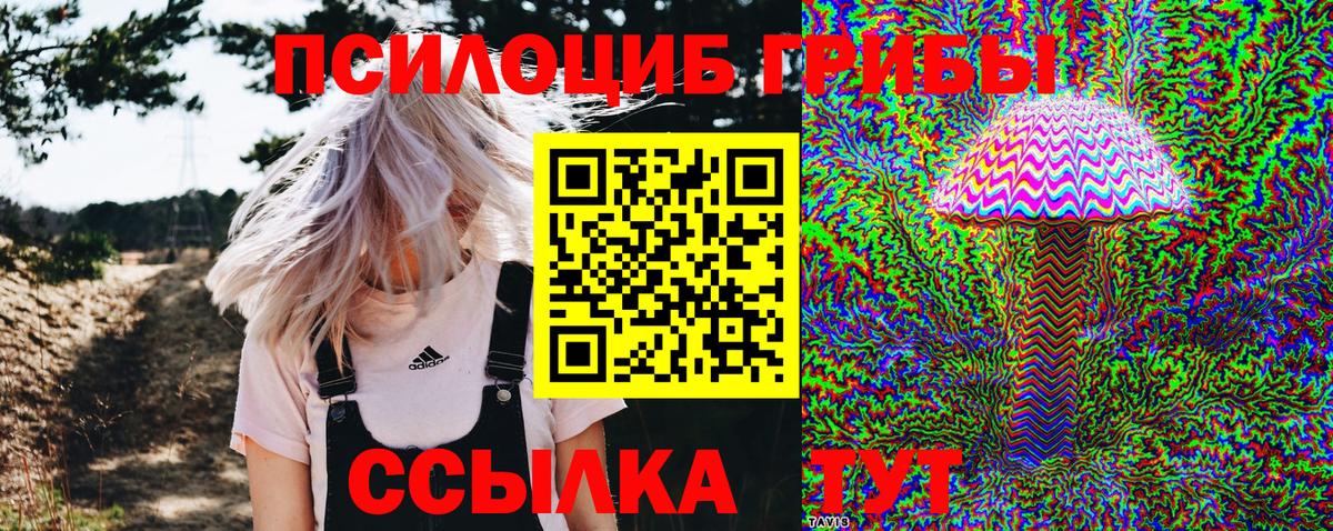 Галлюциногенные грибы MAGIC MUSHROOMS  Вход с VPN  хочу наркоту  Знаменск 
