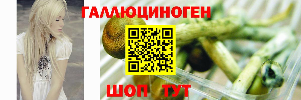 Галлюциногенные грибы Magic Shrooms Знаменск